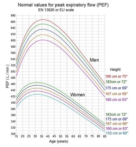 flowMeter2